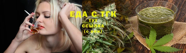 прущие грибы Сосновый Бор