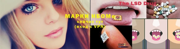 ECSTASY Горняк