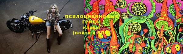 СК Горно-Алтайск