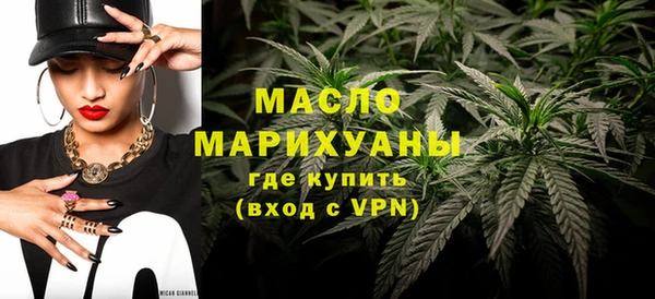 ECSTASY Горняк