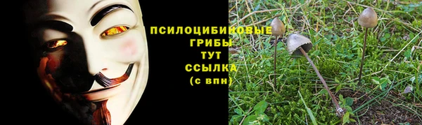 СК Горно-Алтайск