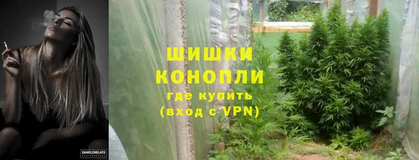 ECSTASY Горняк